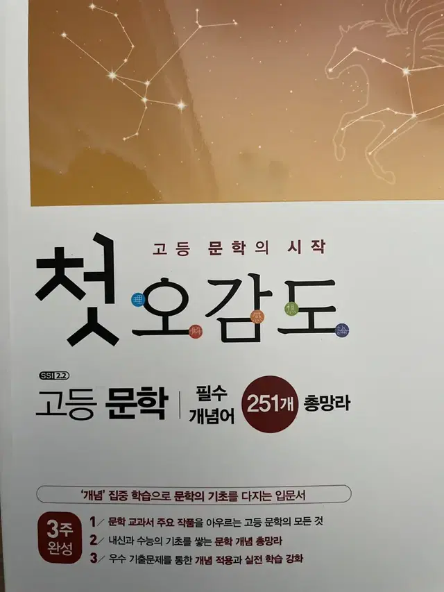 첫오감도 고등 문학 필수 개념어 문학 기초서