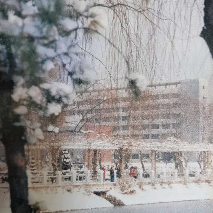 1970년대 건국대학교 연하장 8장