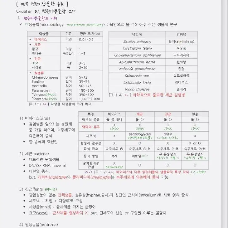 간호학과 필기 정리 - 미생물학 A+