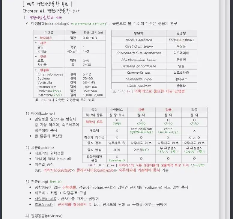 간호학과 필기 정리 - 미생물학 A+