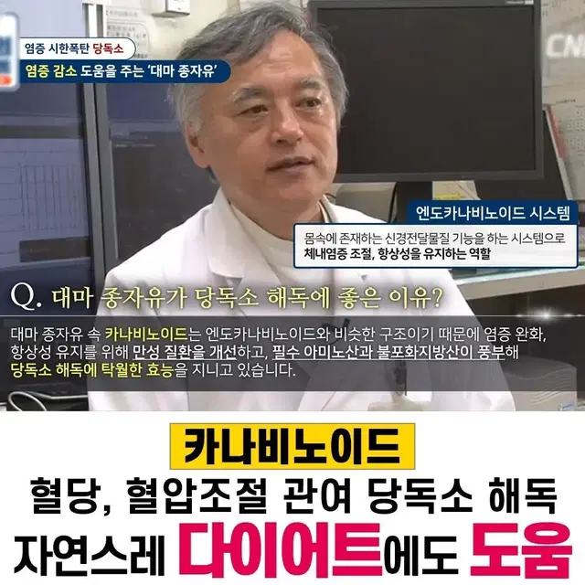 원래 가벼웠던 난대