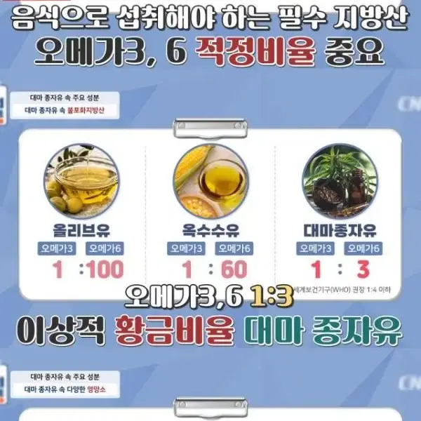 원래 가벼웠던 난대