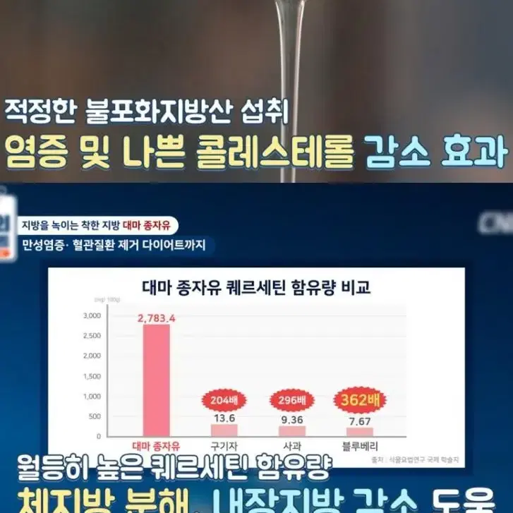 원래 가벼웠던 난대