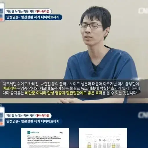 원래 가벼웠던 난대