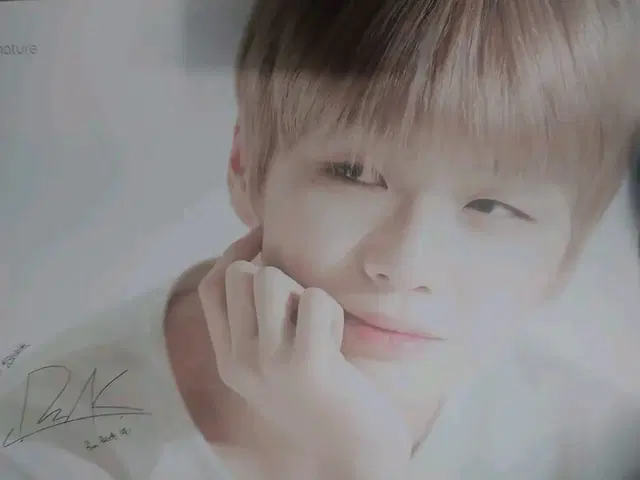 강다니엘 씽크네이처 브로마이드