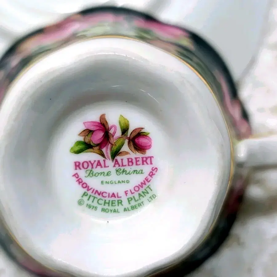 로얄알버트 영국산 프로빈셜Royal albert provincial