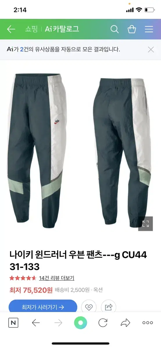 Nike Windrunner Woven Pants (CU4431-133)