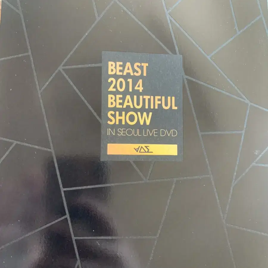 하이라이트 dvd 비스트 dvd