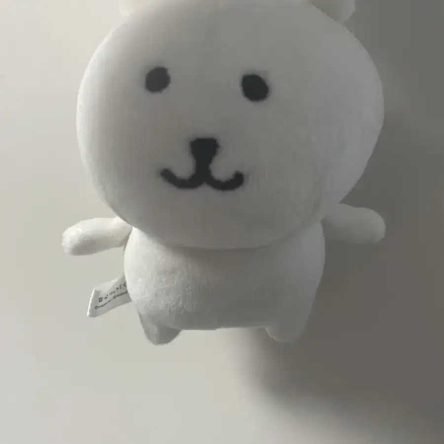 농담곰 팝니다