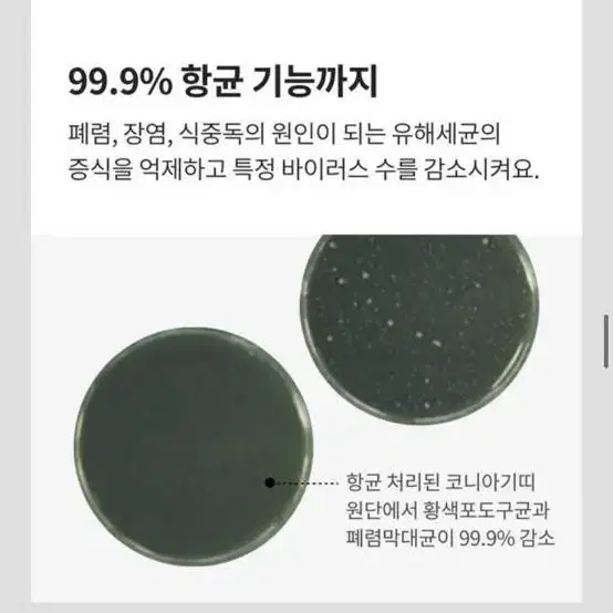 코니아기띠 매쉬 베이지 s 거의 새상품