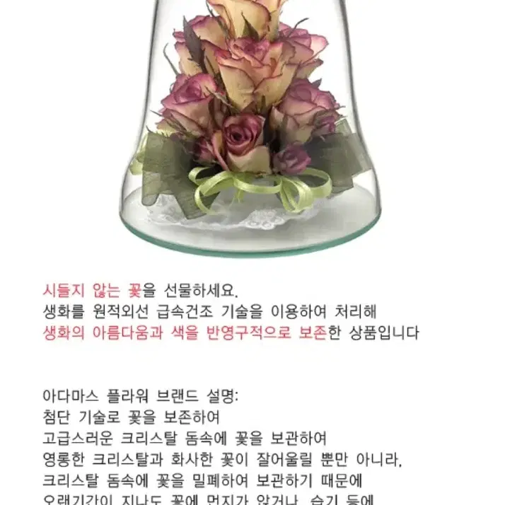 아다마스 플라워(시들지않는 꽃)