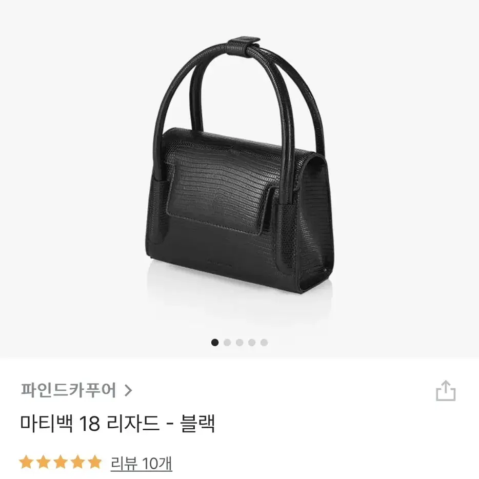 파인트카푸어18리자드블랙