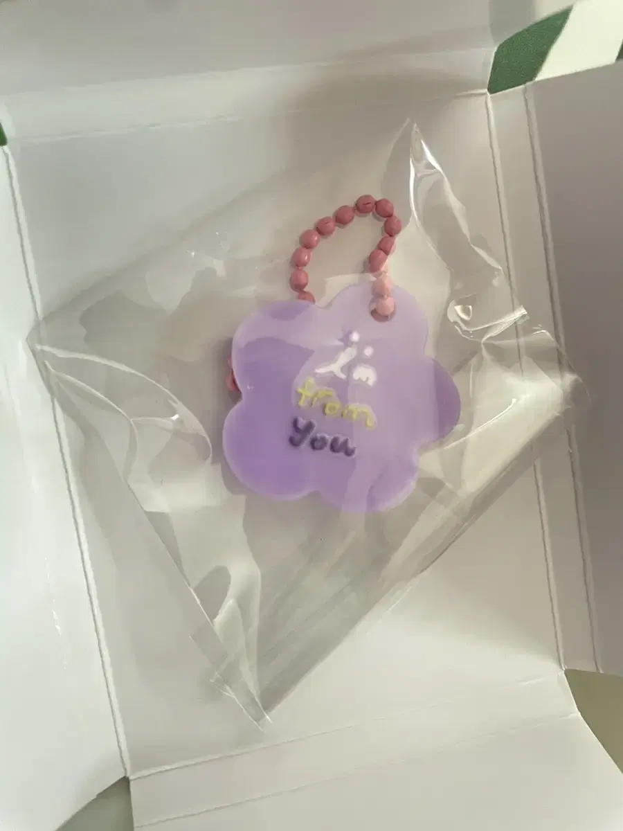 IU YouAnaZone Keyring