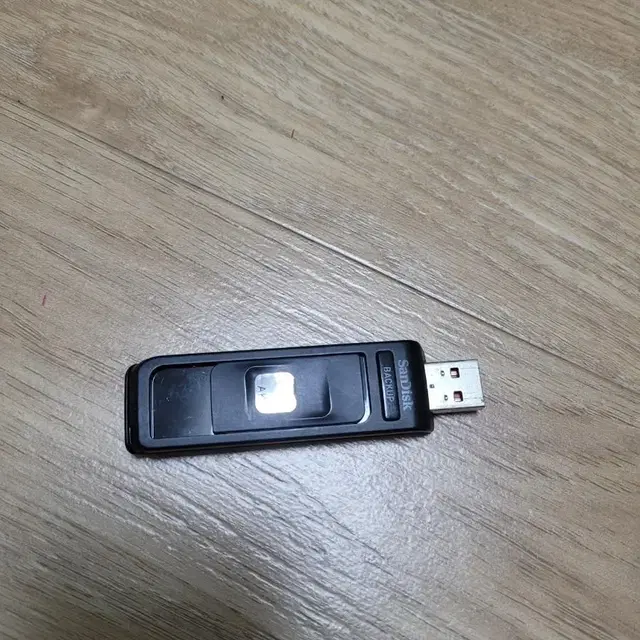 SANDISK BACKUP USB