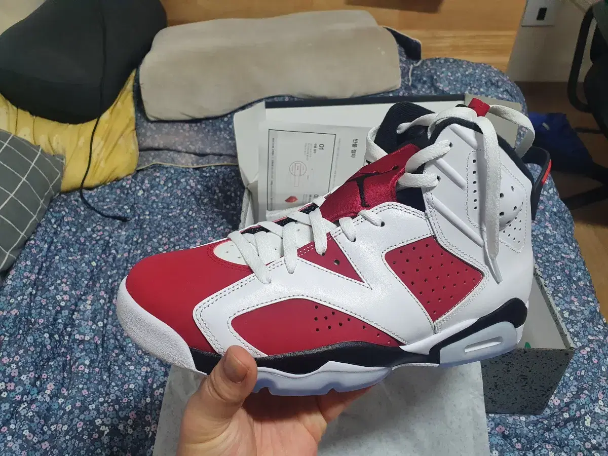 Nike Air Jordan 6 Carmine 295