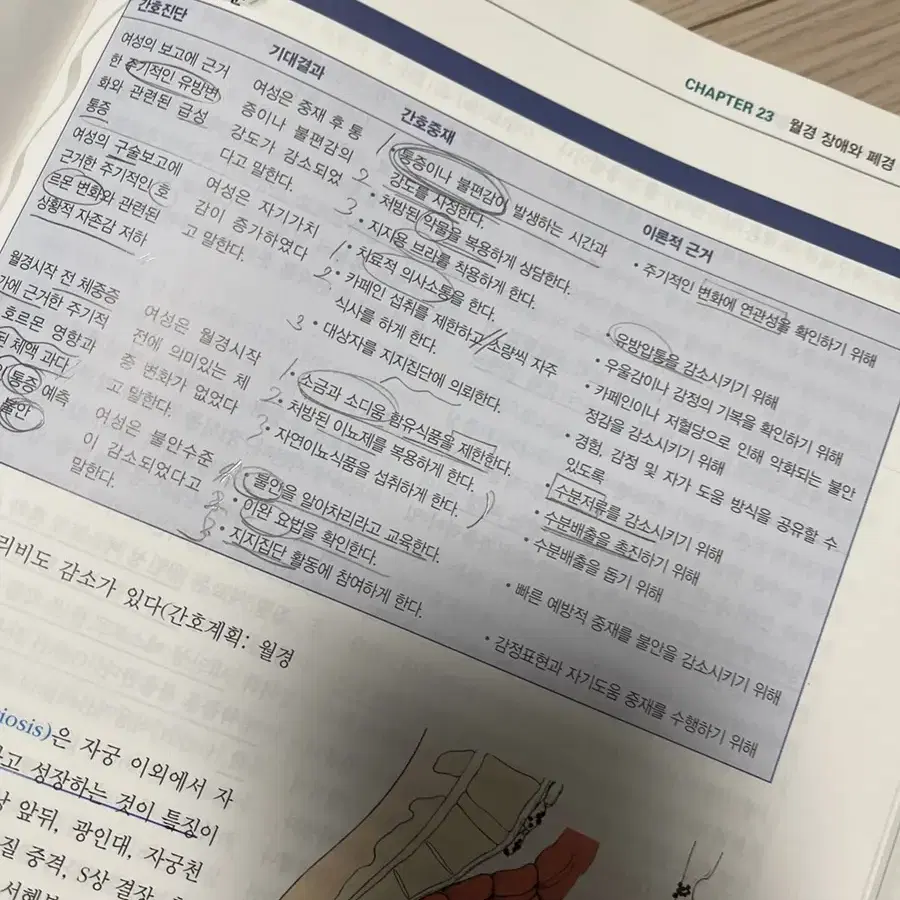 모성,여성건강간호학2