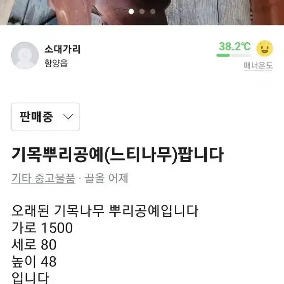 기목 느티나무 뿌리공예 팝니다