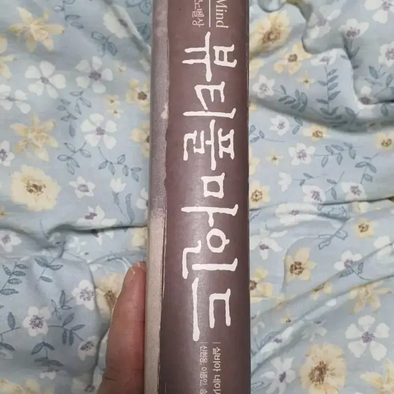 뷰티풀마인드