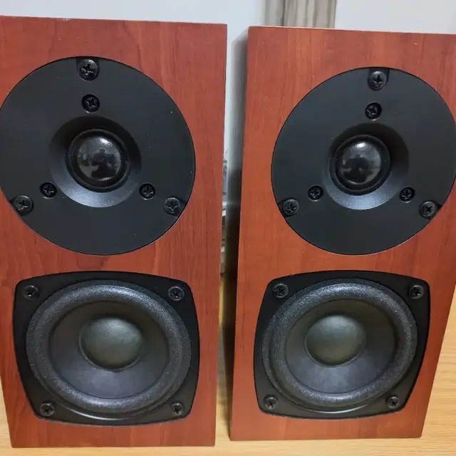 Fostex P802s 스피커