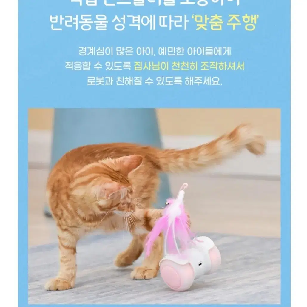 반려동물 RC로봇 장난감