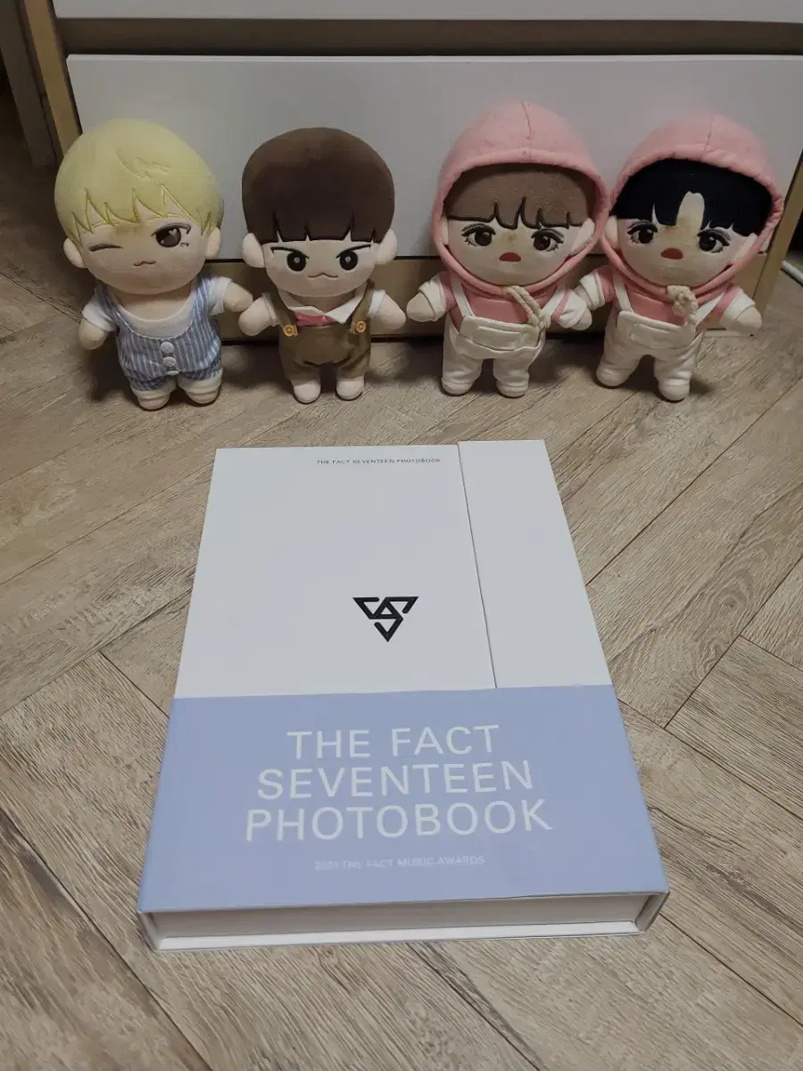 TheFact seventeen photobook sells