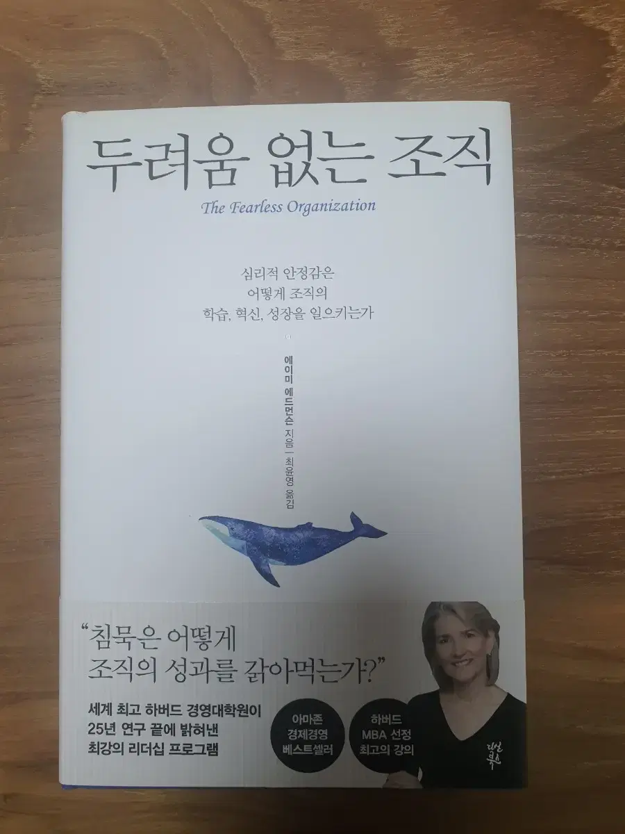 (새 책) 두려움 없는 조직