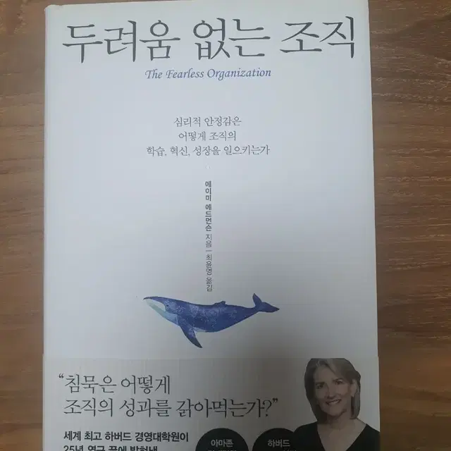 (새 책) 두려움 없는 조직