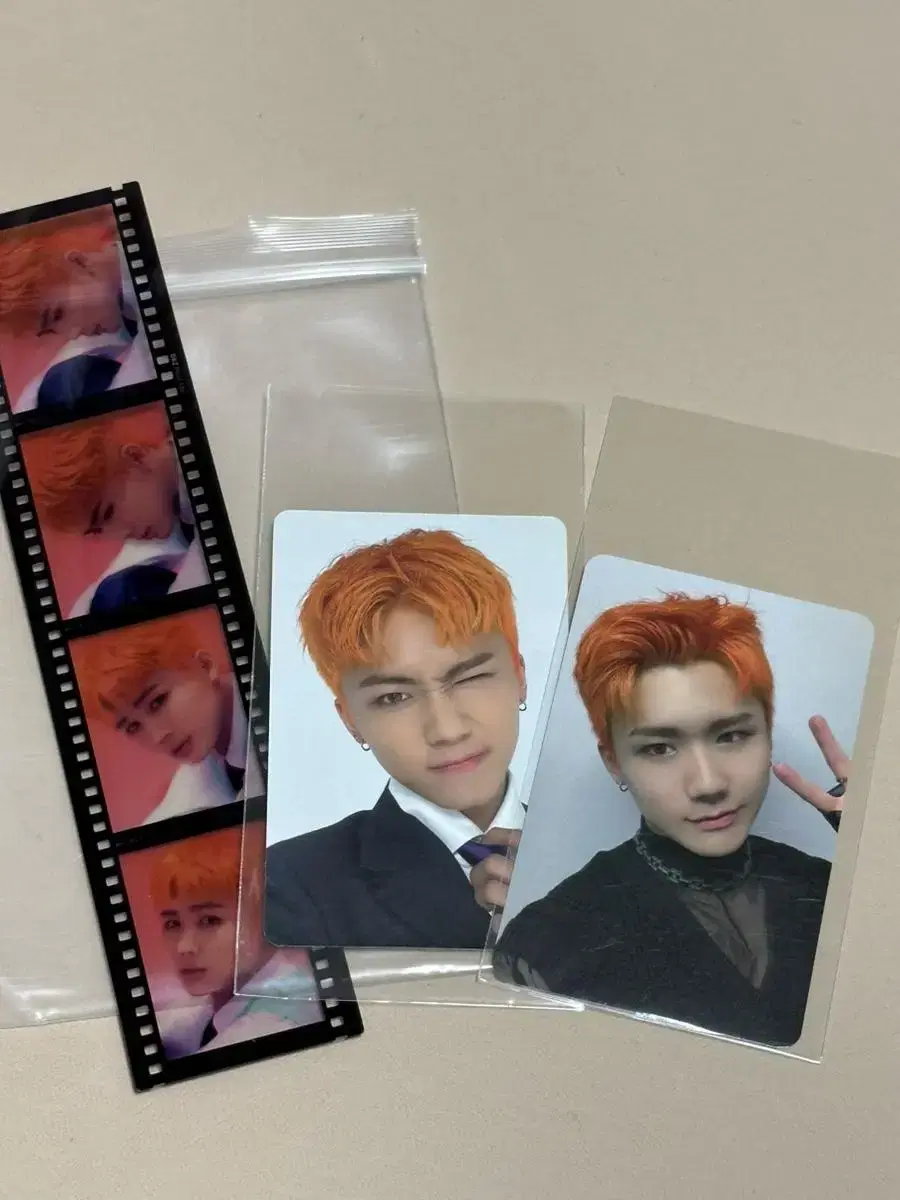 DKZ Species photocard wts