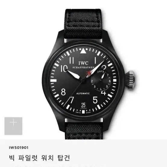 iwc 빅파일럿 탑건