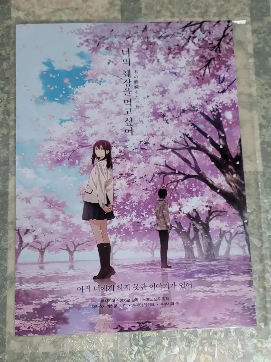 I Want to Eat Your Pancreas Annie A3 Poster