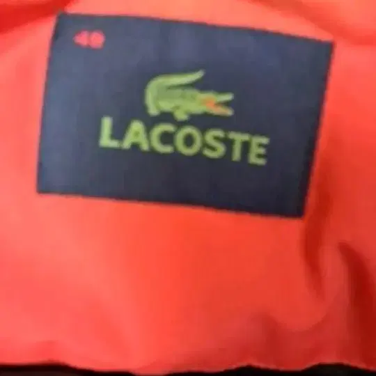 LACOSTE  덕 다운 패딩