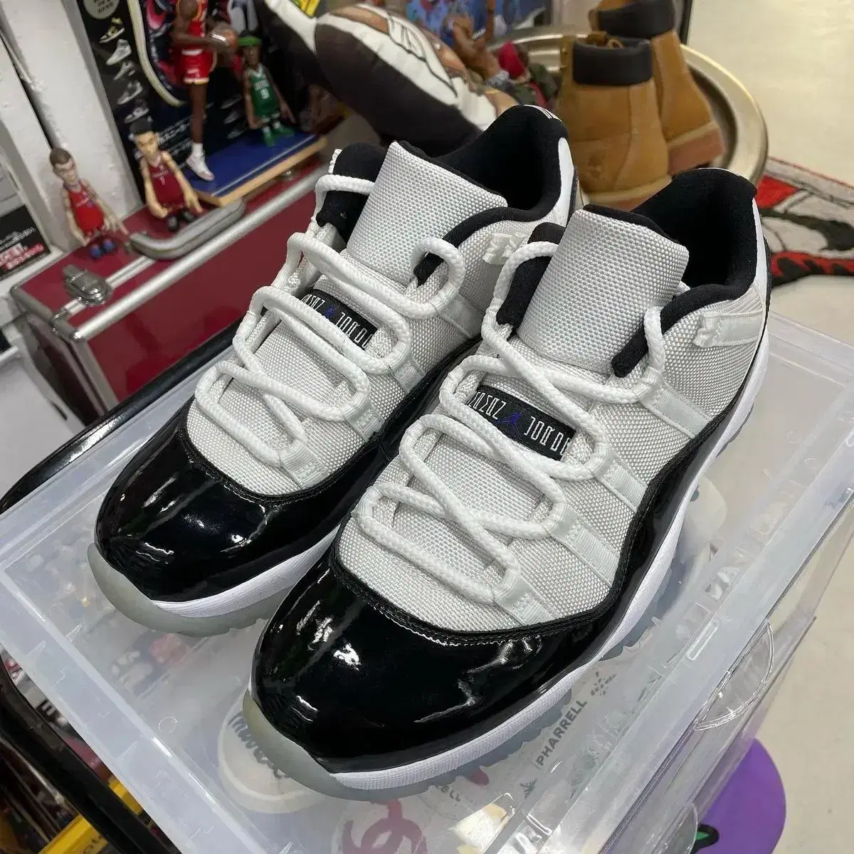 jordan11 low concord 조던11 콩코드 로우