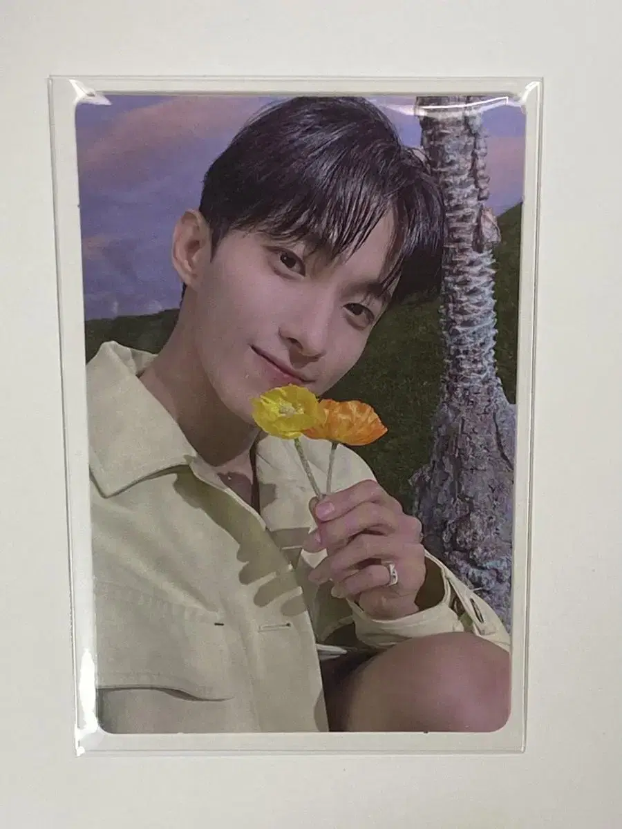 [SEVENTEEN] dk SECTOR 17 photocard WTS