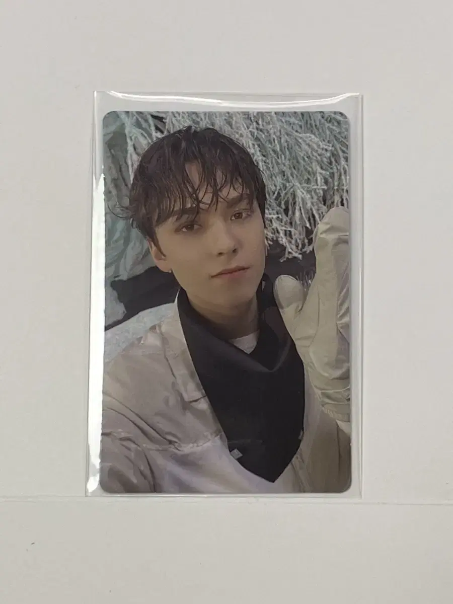 [SEVENTEEN] vernon SECTOR 17 NEW HEIGHTS photocard WTS