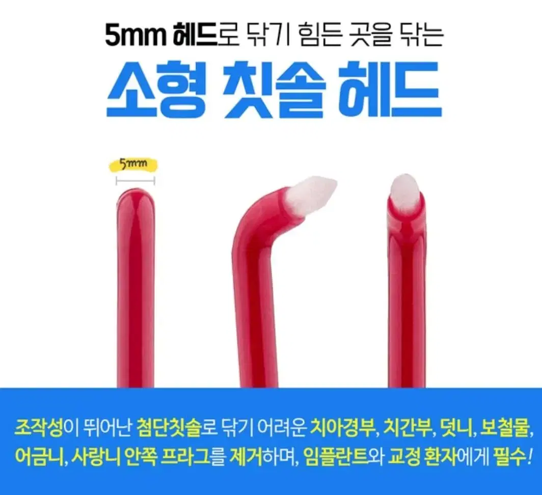 치과 전문 칫솔/ 위덴 칫솔