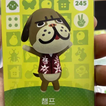 동숲 아미보 카드 3탄 챔프 새상품 정품 | 브랜드 중고거래 플랫폼, 번개장터 동숲 아미보 카드 3탄 챔프 새상품 정품 | 브랜드 중고거래 플랫폼, 번개장터