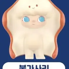 팝마트 아쿠아리움 디무 불가사리