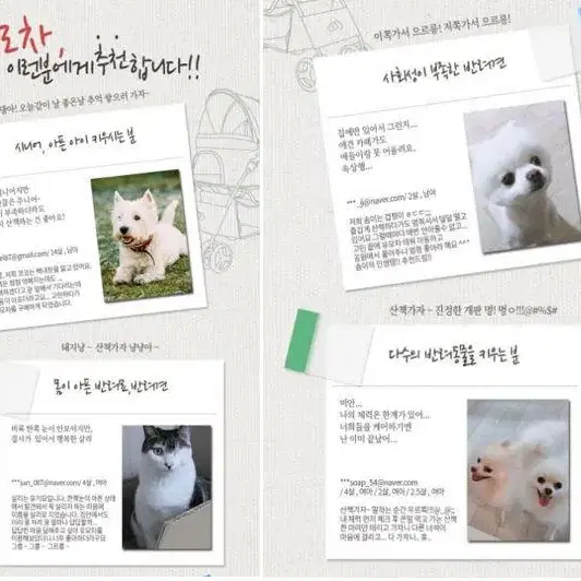 [새상품] 고양이 유모차/강아지 개모차/애견 반려견 펫 손수레 외출카트