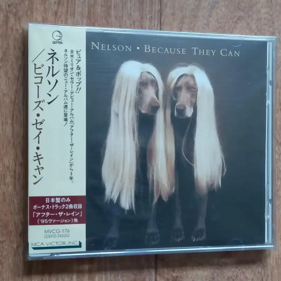 Nelson cd 넬슨 일본반 시디