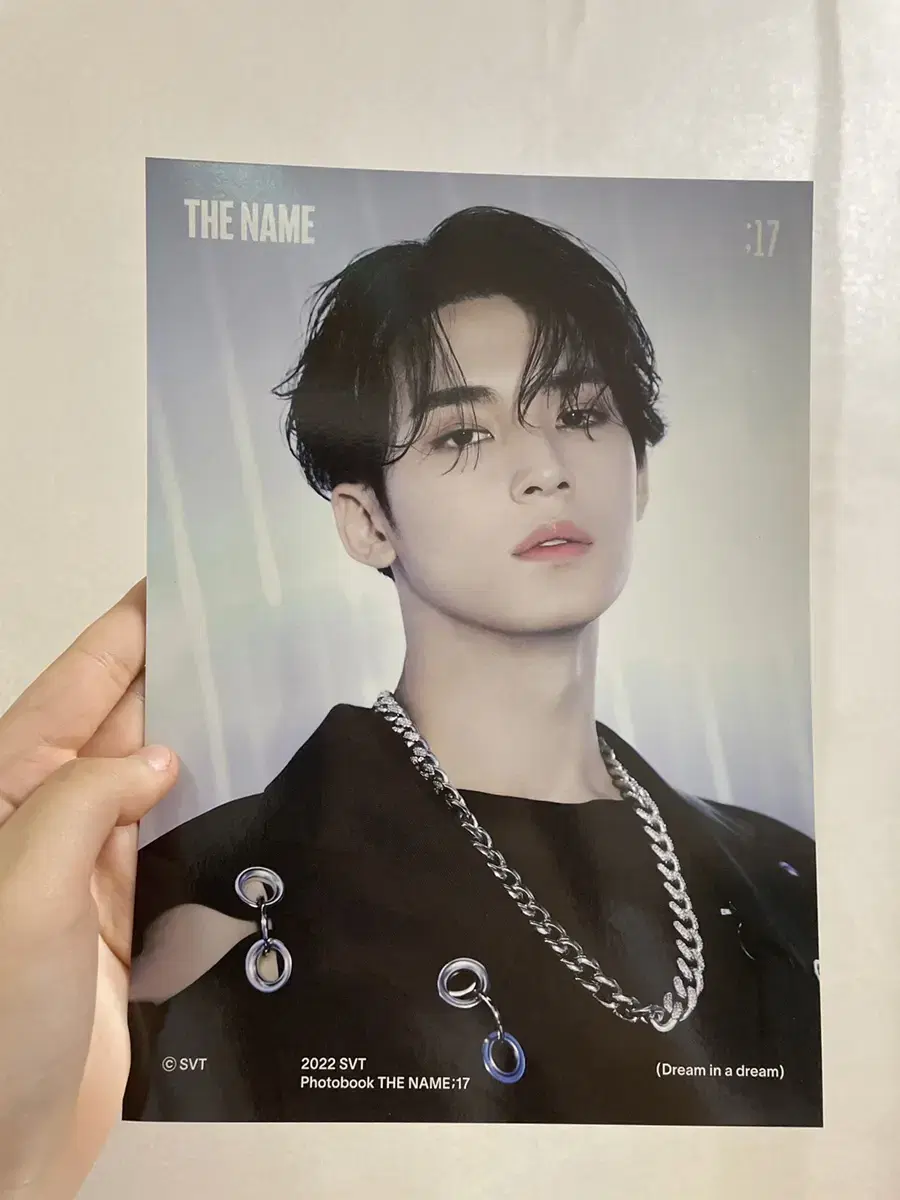 Seventeen The Name mingyu poster Book WTS