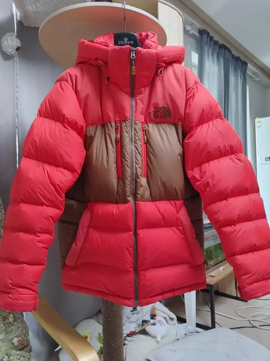 The North Face Excellent Fei