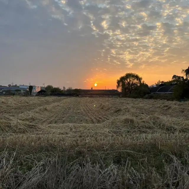 라이젠 2600x 실사용2년