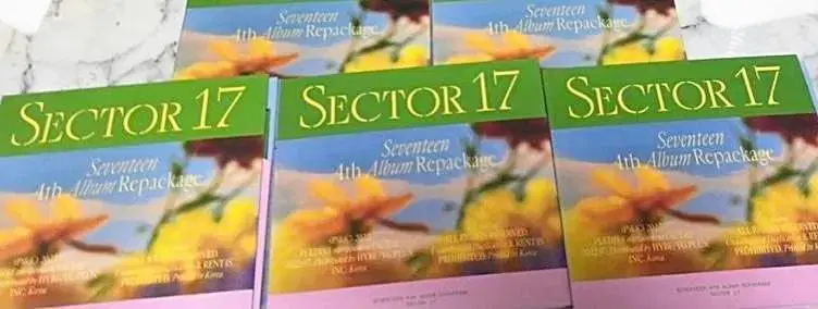 Sector17 Repackage Photobook