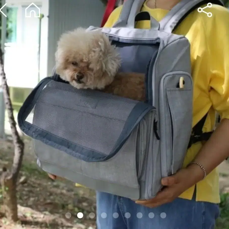 강아지 고양이 이동가방 위고백 핏