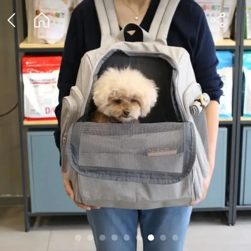 강아지 고양이 이동가방 위고백 핏