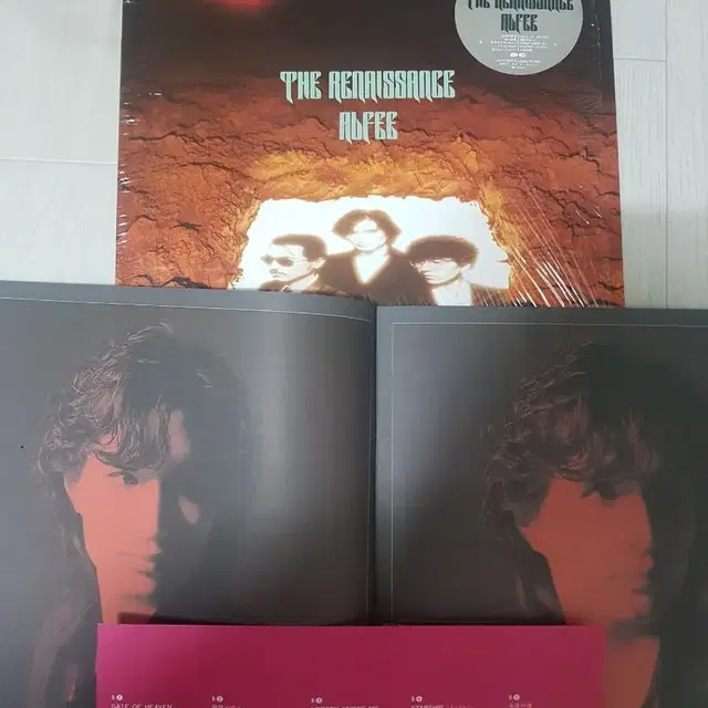 JRock Alfee: The Renaissance 엘피 바이닐 lp