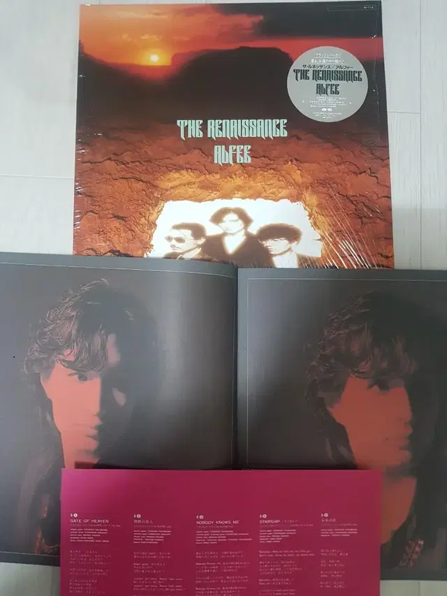 JRock Alfee: The Renaissance 엘피 바이닐 lp