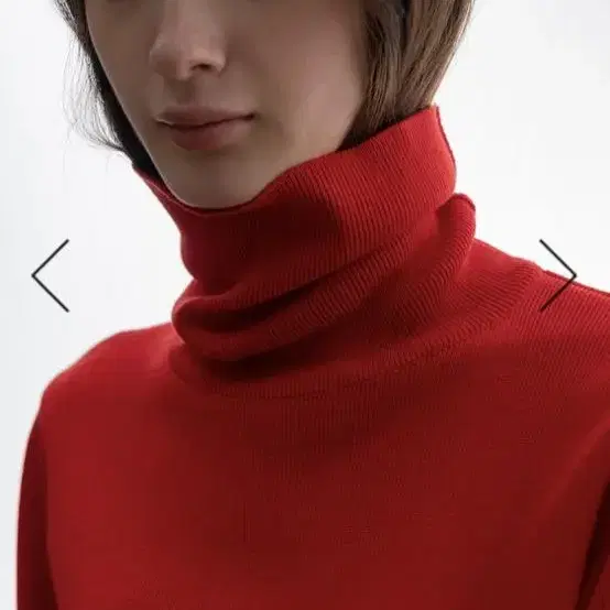 certo Silk Turtleneck Knit [Red]