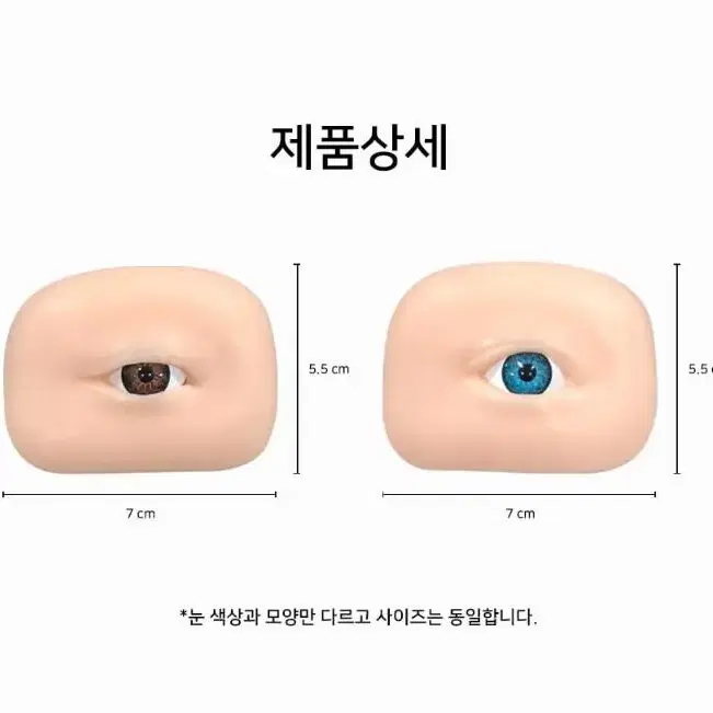 3D 실리콘 눈썹 고급형 마네킹 갈색청색 마네킹 모형 미용재료 눈썹 실리