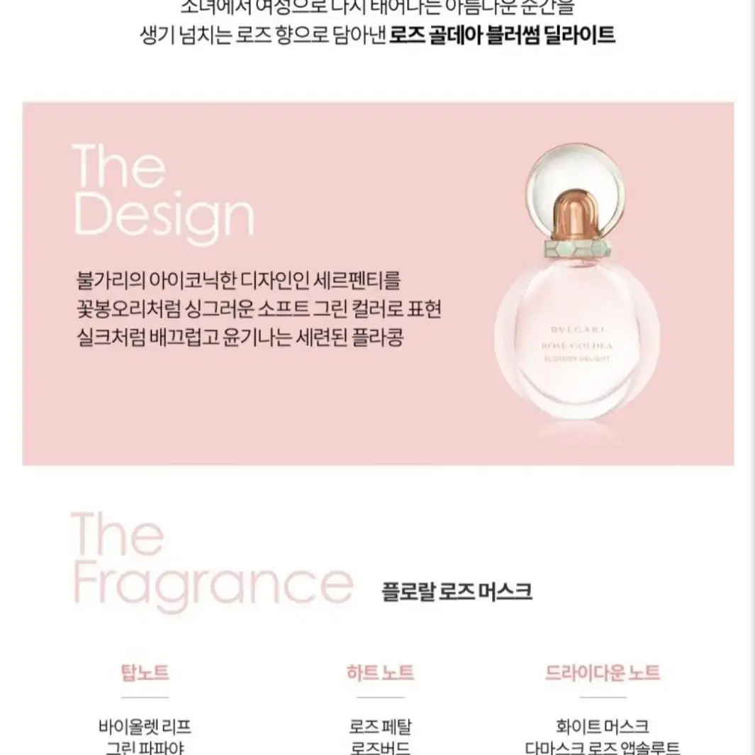 불가리 로즈 골데아 블러썸 딜라이트 EDP 15ml